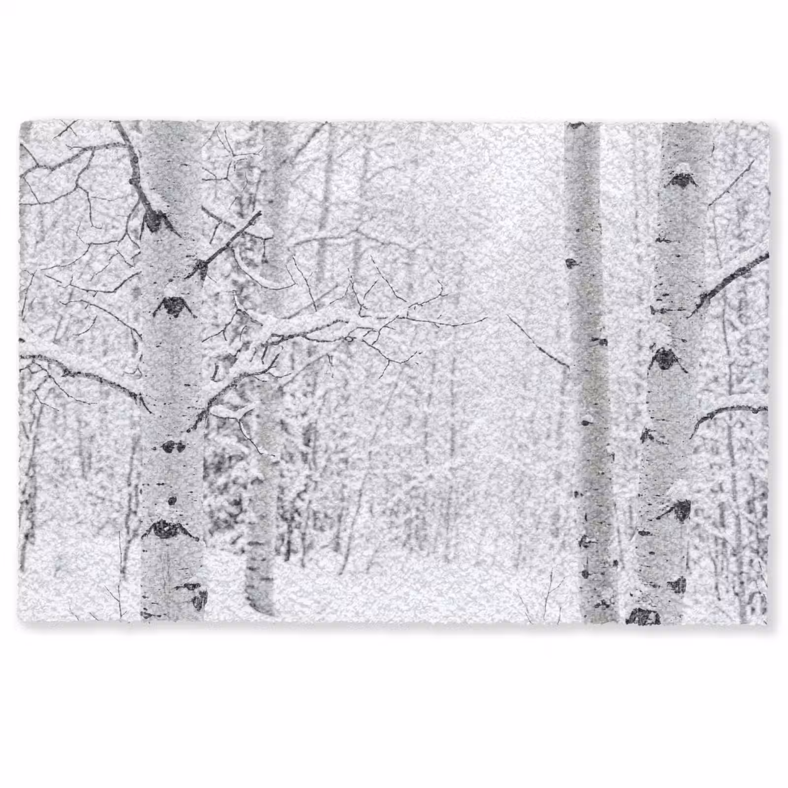 Deurmat - Berkenbomen - Sneeuw - Winter - Bos - Wit — 1