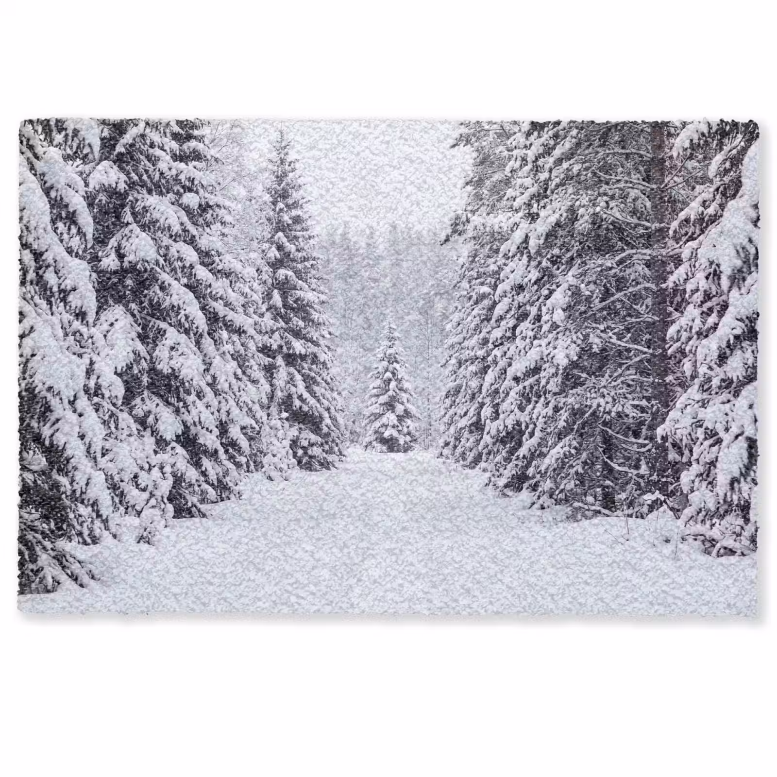 Deurmat - Bos - Winter - Sneeuw - Pad - Natuur — 1