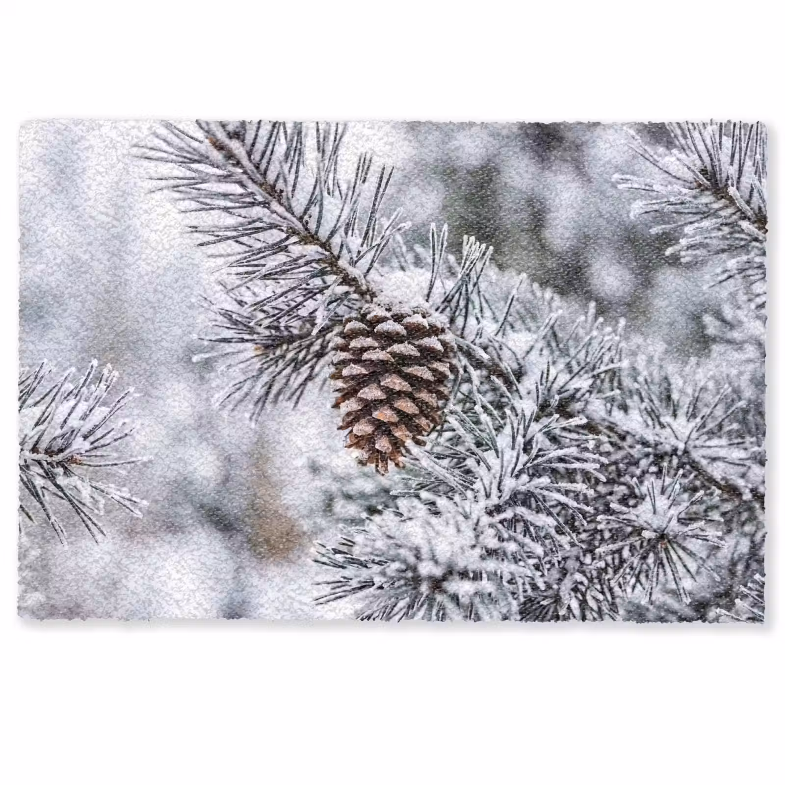 Deurmat - Dennenappel - Tak - Sneeuw - Winter - Sfeervol — 1