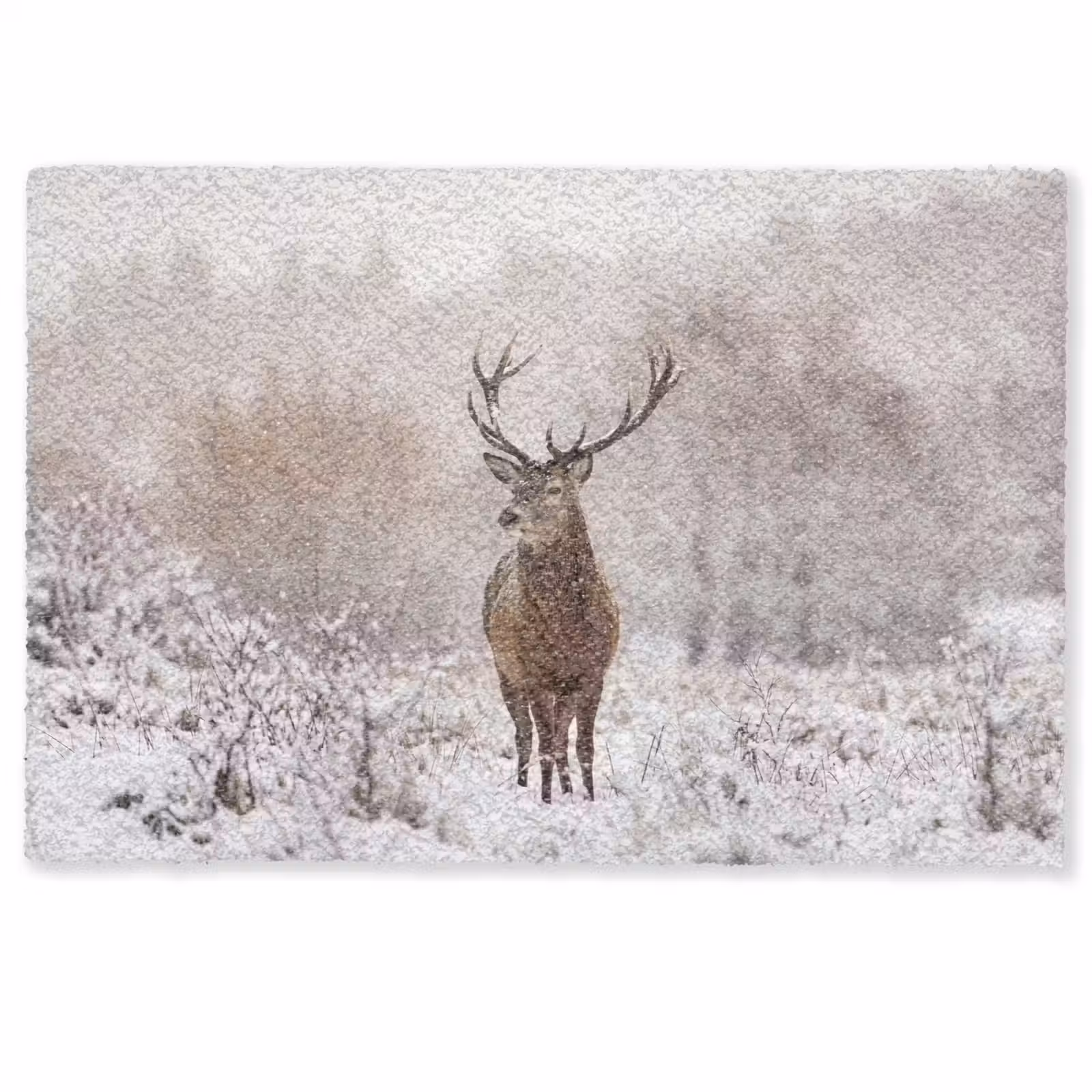 Deurmat - Edelhert - Bos - Sneeuw - Winter - Majestueus — 1