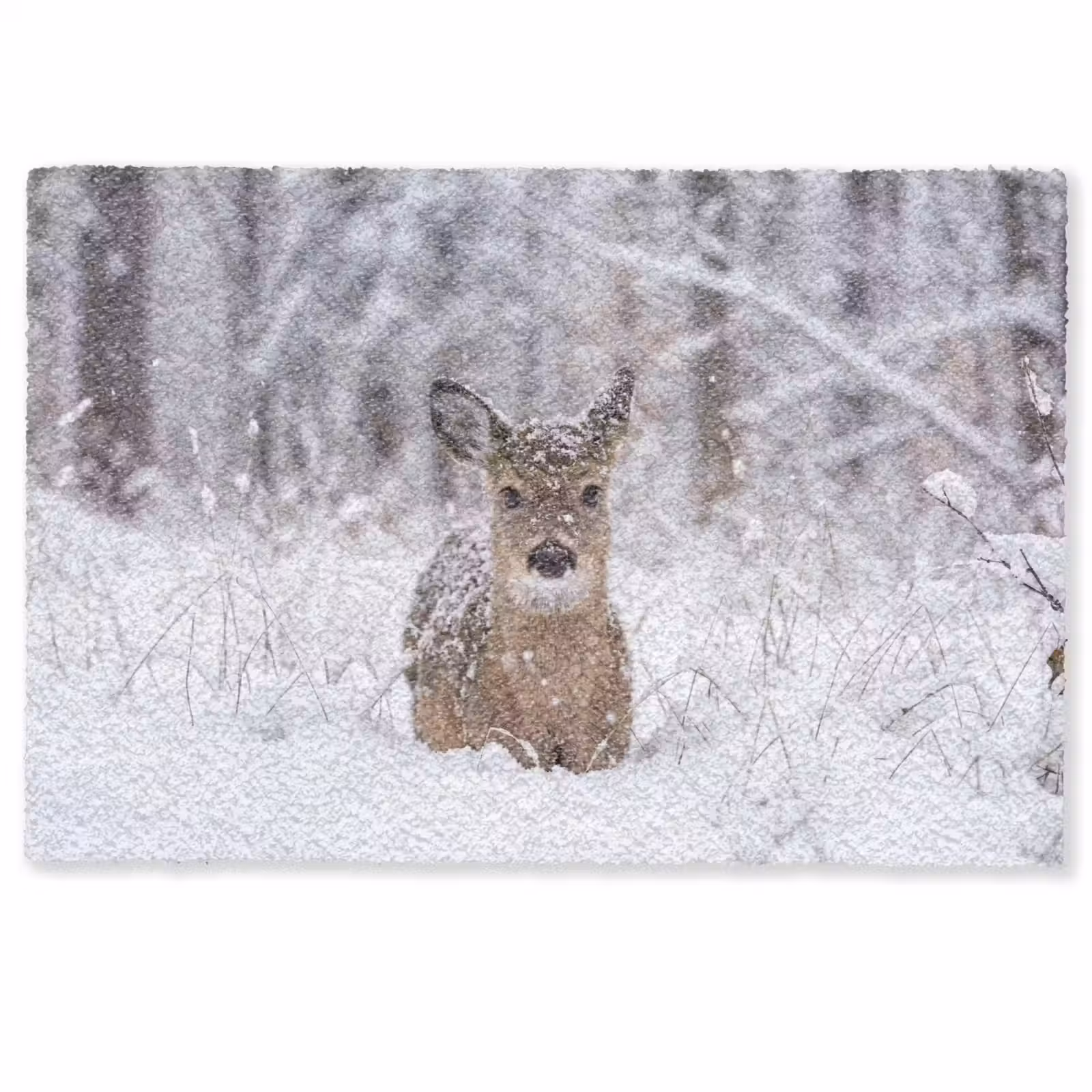 Deurmat - Hert - Sneeuw - Bos - Dieren - Vertederend — 1
