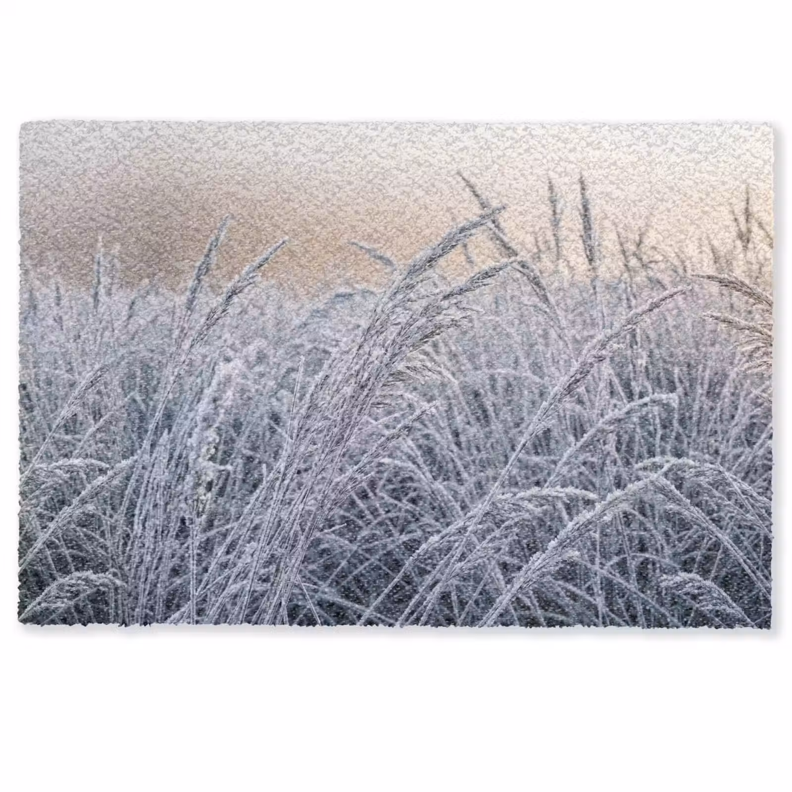 Deurmat - Rijp - Gras - Kristallen - Winter - Minimalistisch — 1