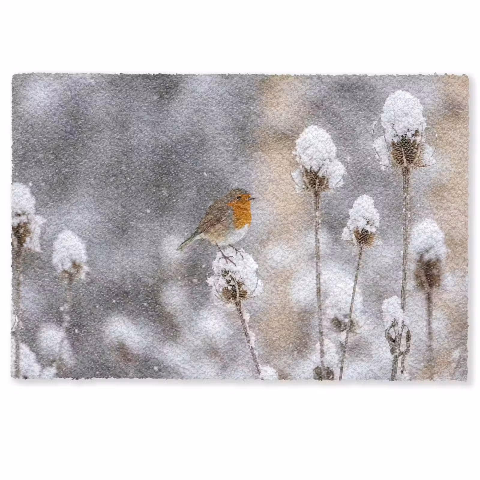 Deurmat - Roodborstje - Gedroogde bloem - Sneeuw - Winter - Vertederend — 1