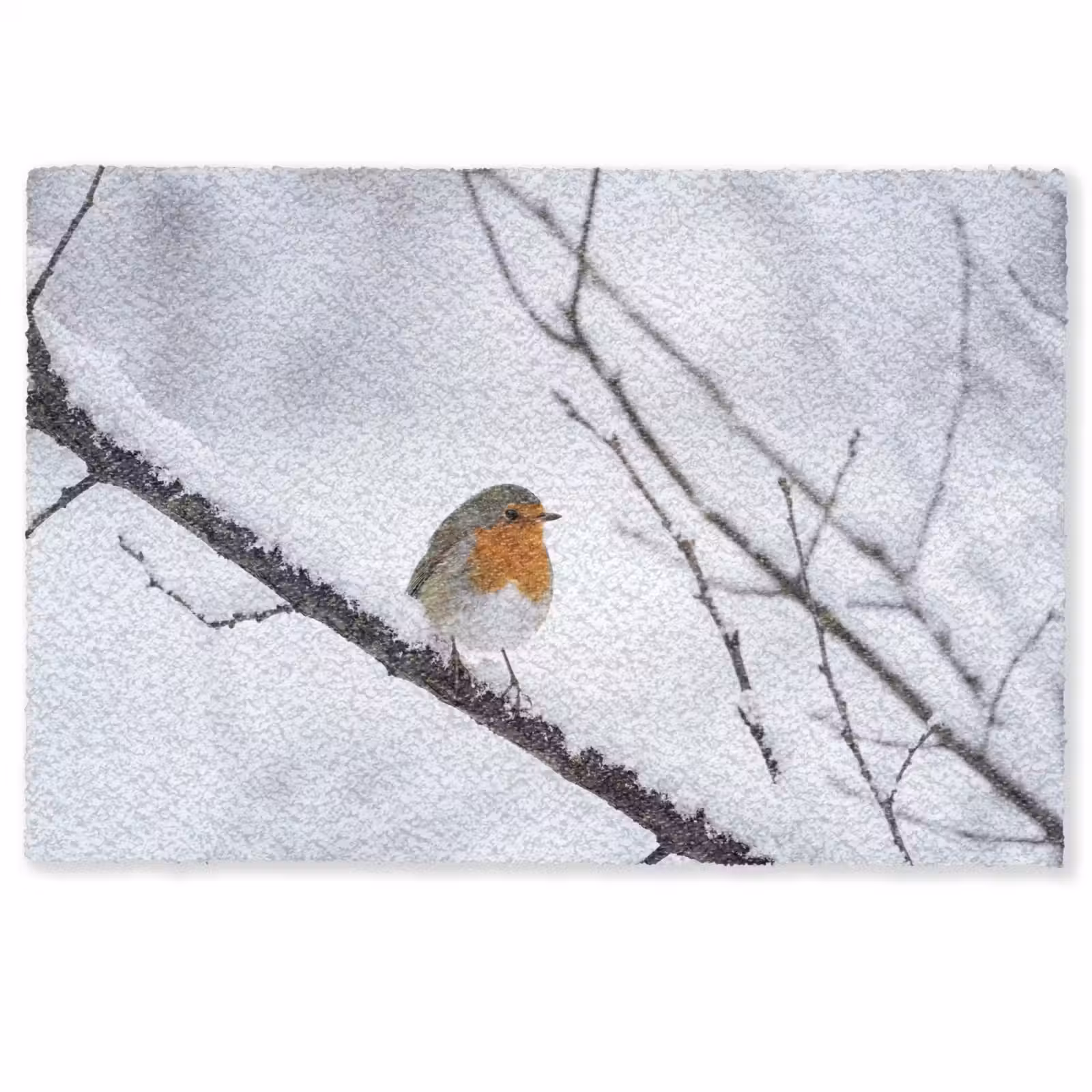 Deurmat - Roodborstje - Tak - Sneeuw - Winter - Levendig — 1