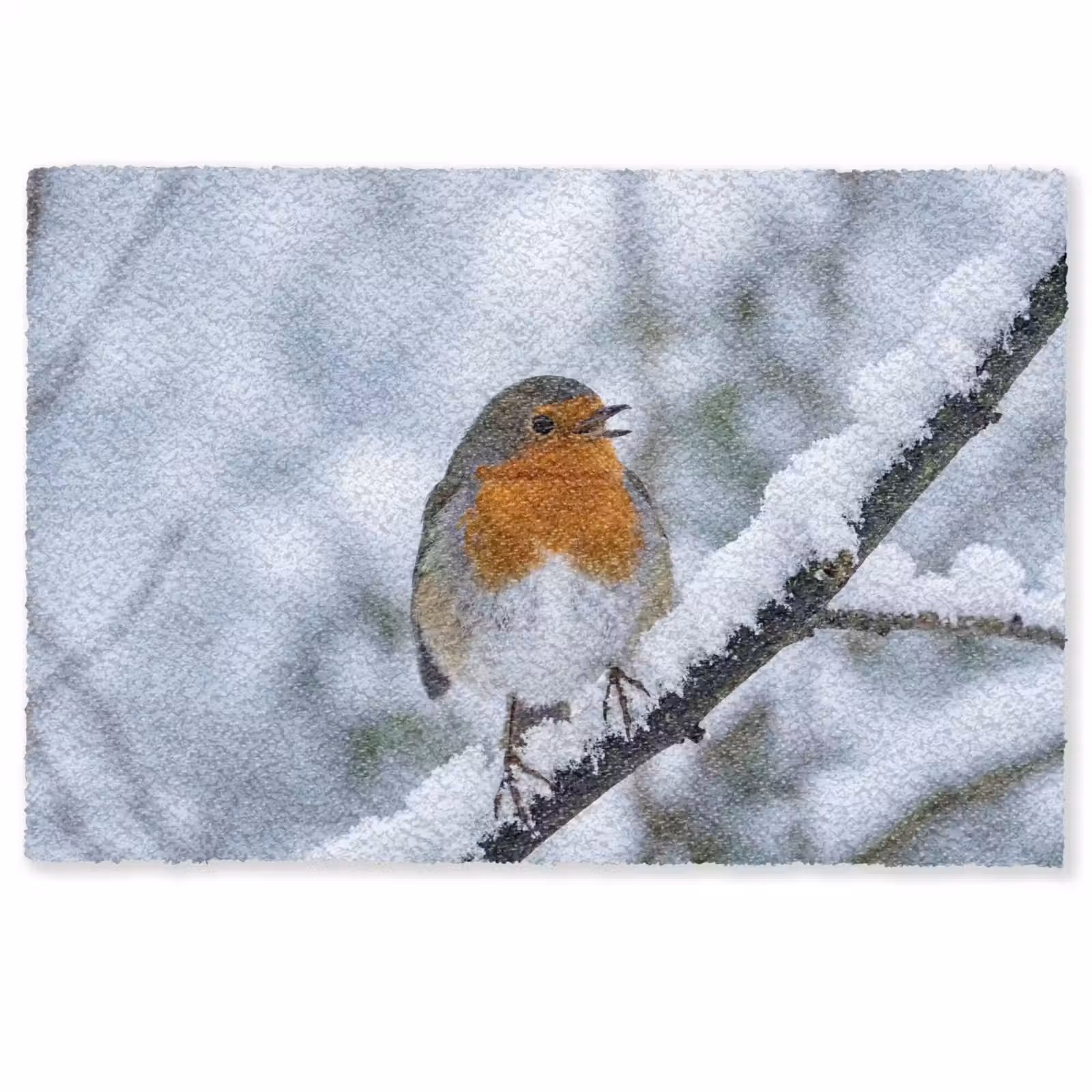 Deurmat - Roodborstje - Tak - Sneeuw - Winter - Levendig — 1