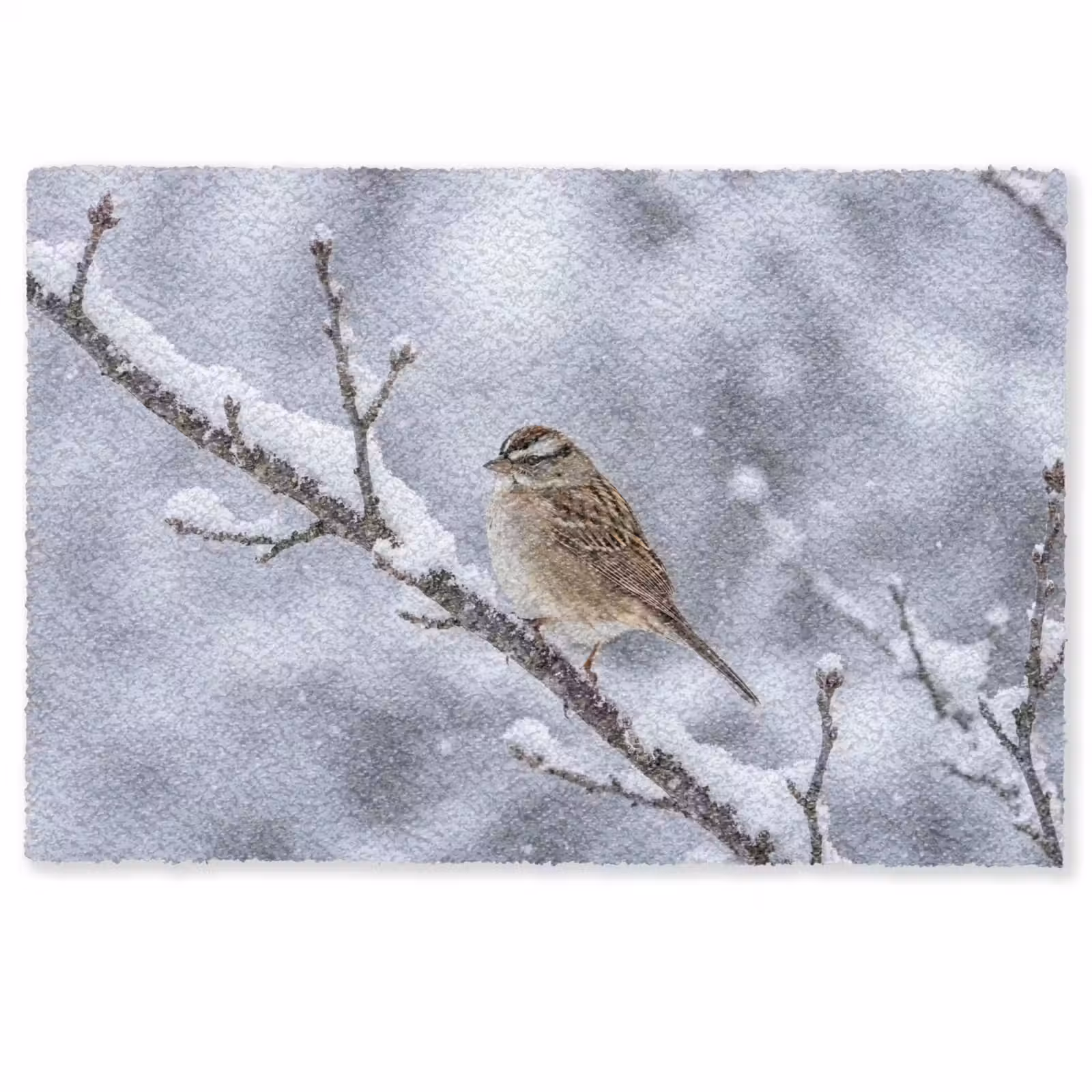 Deurmat - Vogel - Tak - Sneeuw - Winter — 1
