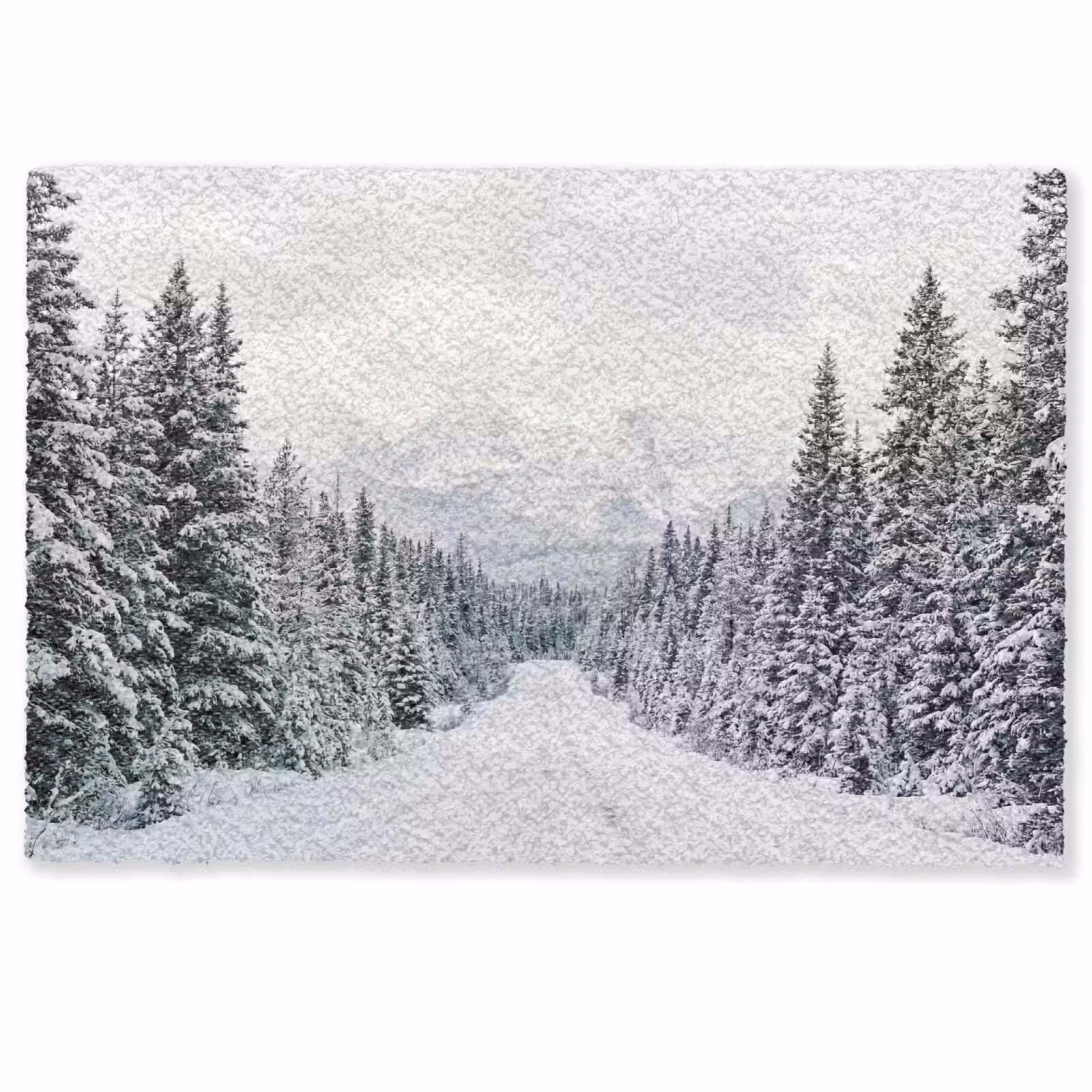 Deurmat - Weg - Sneeuw - Naaldbos - Winter - Avontuurlijk — 1