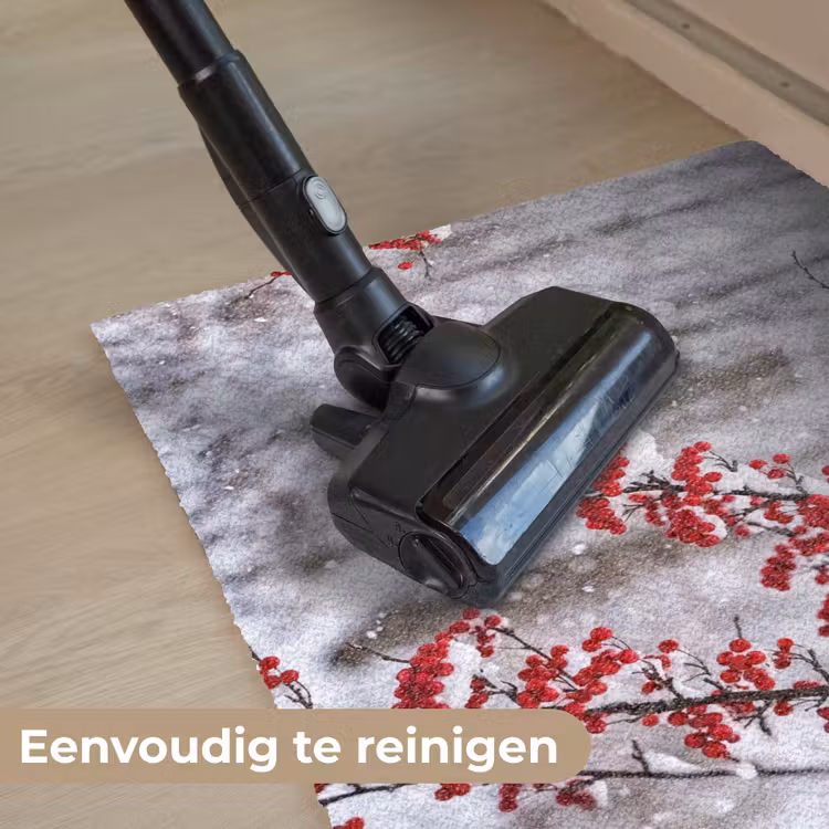 Deurmat - Bessen - Takken - Sneeuw - Winter - Kleurrijk — 9