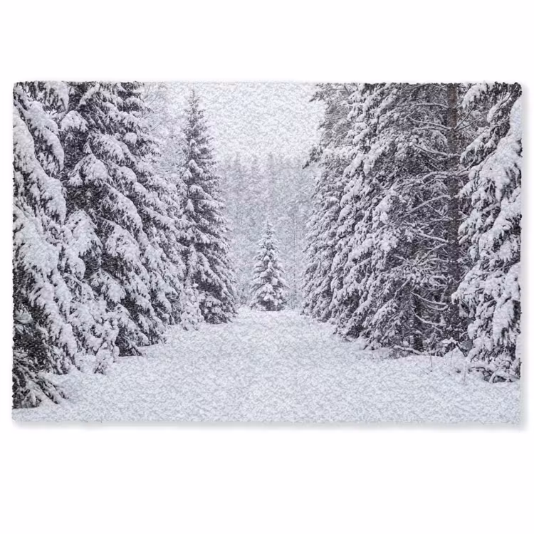 Deurmat - Bos - Winter - Sneeuw - Pad - Natuur — 1