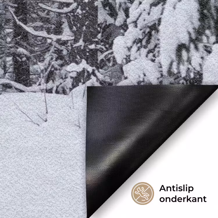 Deurmat - Bos - Winter - Sneeuw - Pad - Natuur — 6