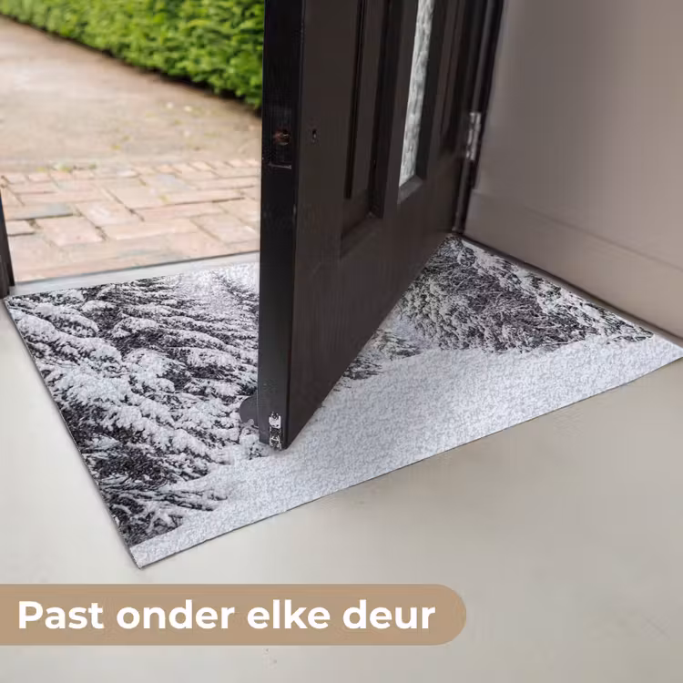 Deurmat - Bos - Winter - Sneeuw - Pad - Natuur — 7