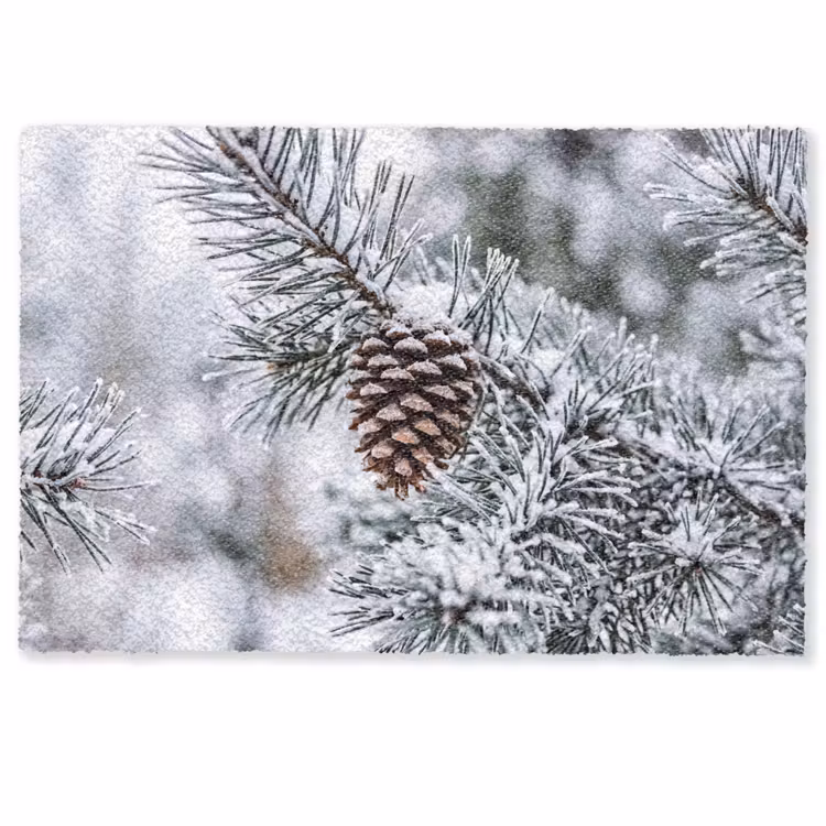 Deurmat - Dennenappel - Tak - Sneeuw - Winter - Sfeervol — 1