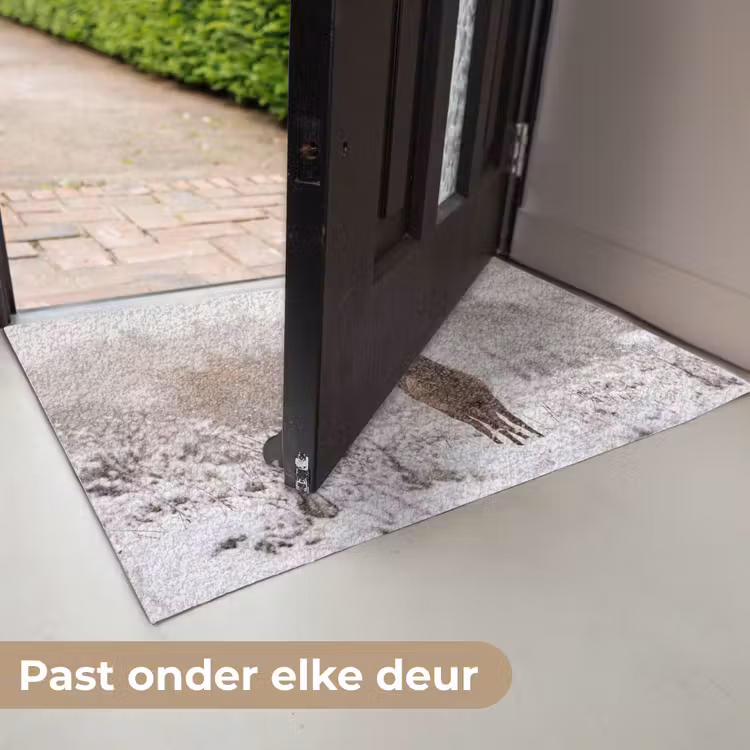 Deurmat - Edelhert - Bos - Sneeuw - Winter - Majestueus — 7
