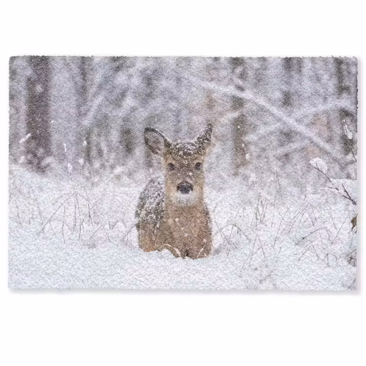 Deurmat - Hert - Sneeuw - Bos - Dieren - Vertederend — 1