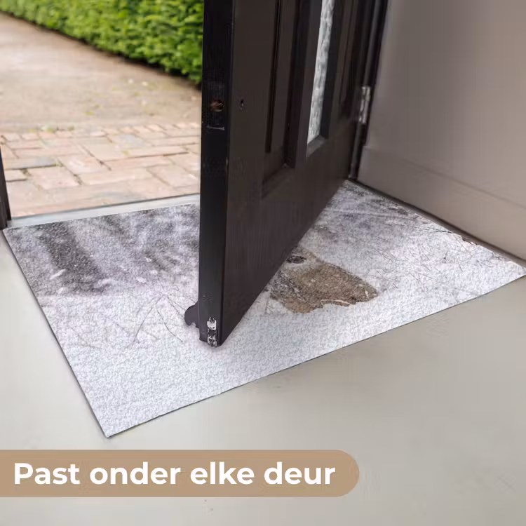Deurmat - Hert - Sneeuw - Bos - Dieren - Vertederend — 7