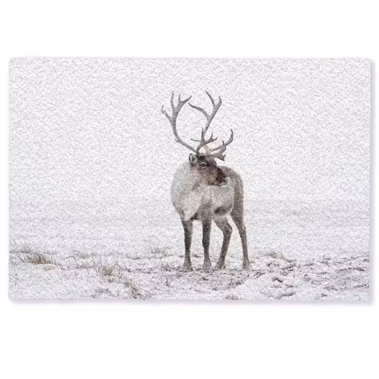 Deurmat - Rendier - Gewei - Sneeuw - Winter — 1