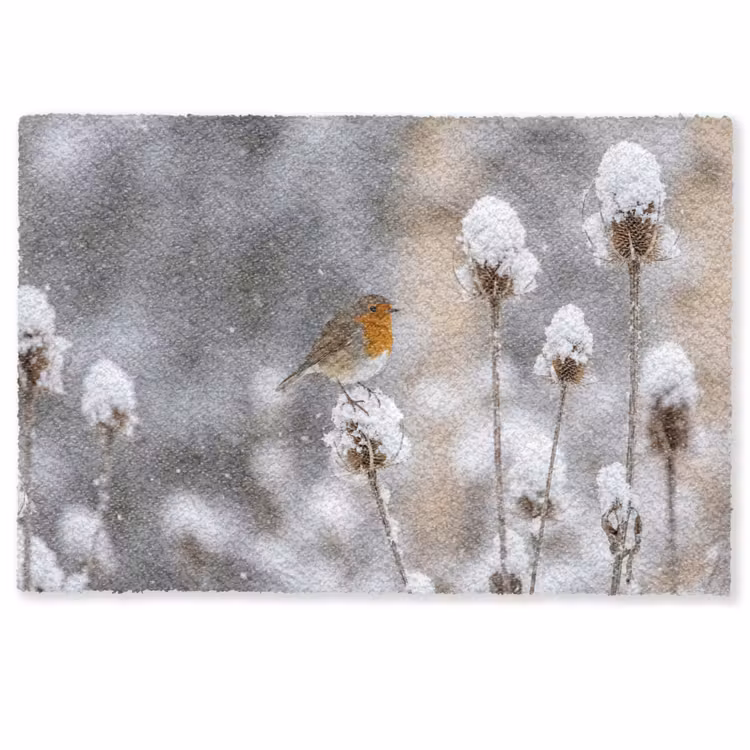 Deurmat - Roodborstje - Gedroogde bloem - Sneeuw - Winter - Vertederend — 1