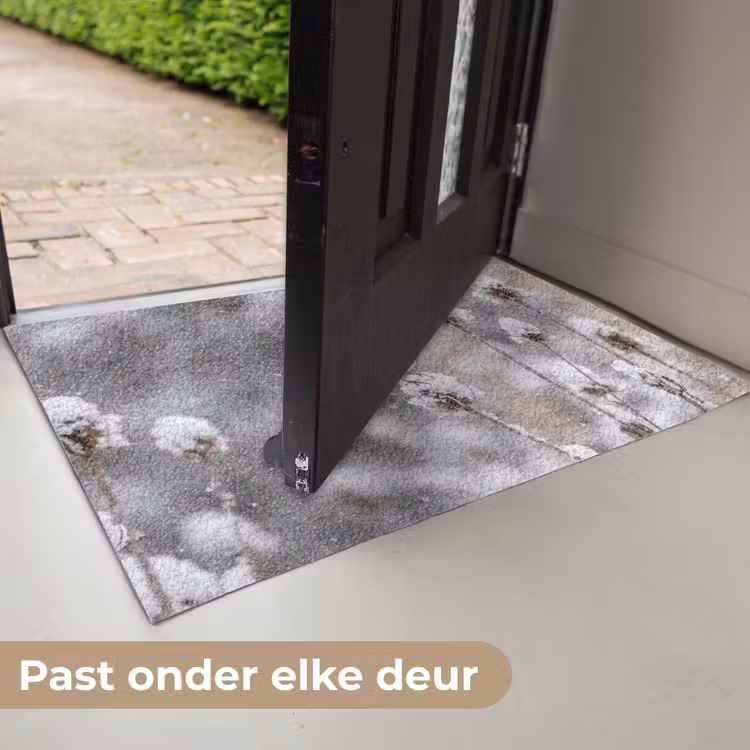 Deurmat - Roodborstje - Gedroogde bloem - Sneeuw - Winter - Vertederend — 7