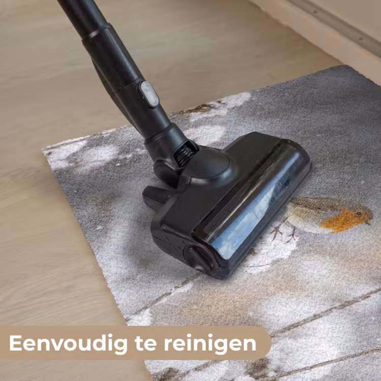Deurmat - Roodborstje - Gedroogde bloem - Sneeuw - Winter - Vertederend — 9