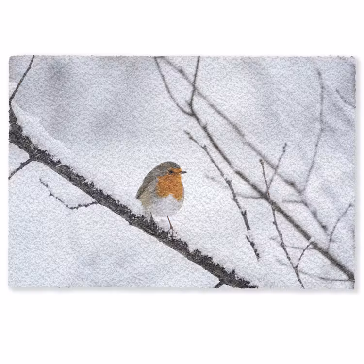 Deurmat - Roodborstje - Tak - Sneeuw - Winter - Levendig — 1