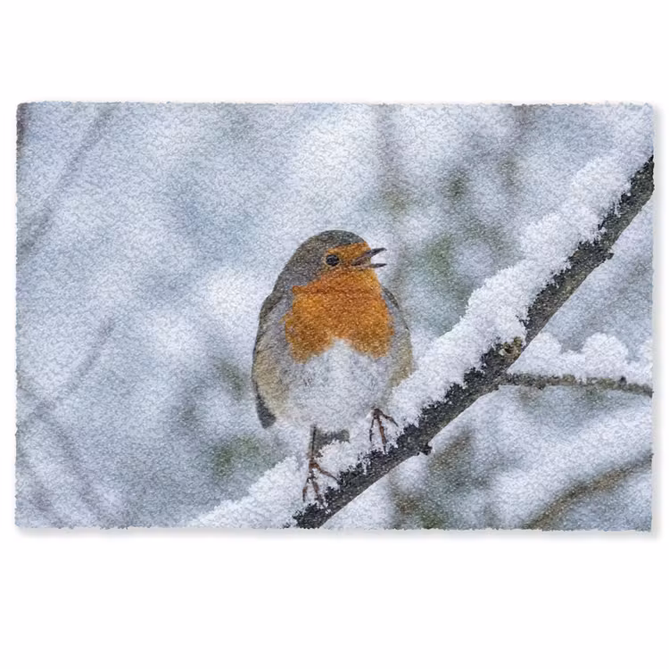 Deurmat - Roodborstje - Tak - Sneeuw - Winter - Levendig — 1