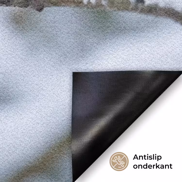 Deurmat - Roodborstje - Tak - Sneeuw - Winter - Levendig — 6