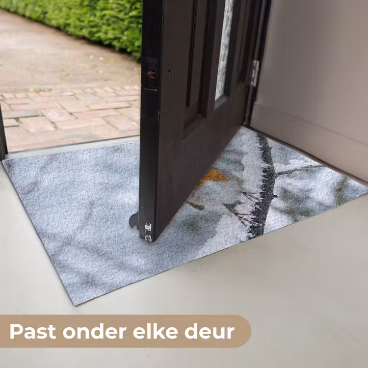 Deurmat - Roodborstje - Tak - Sneeuw - Winter - Levendig — 7