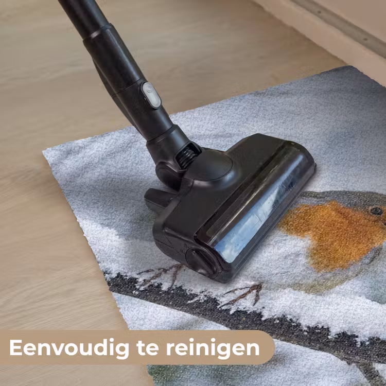Deurmat - Roodborstje - Tak - Sneeuw - Winter - Levendig — 9