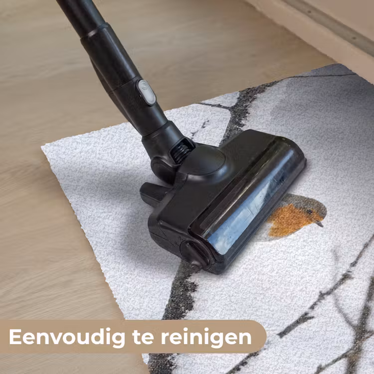 Deurmat - Roodborstje - Tak - Sneeuw - Winter - Levendig — 9