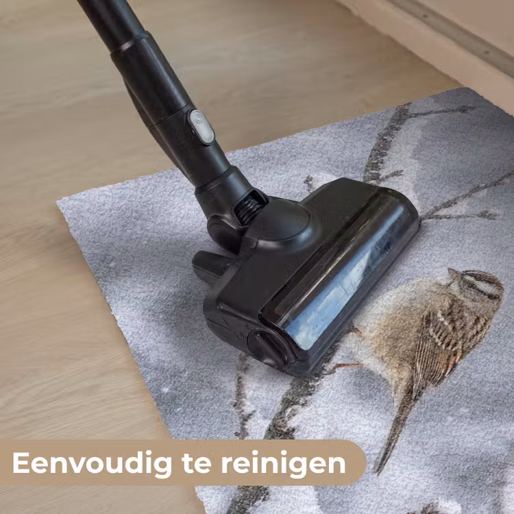 Deurmat - Vogel - Tak - Sneeuw - Winter — 9