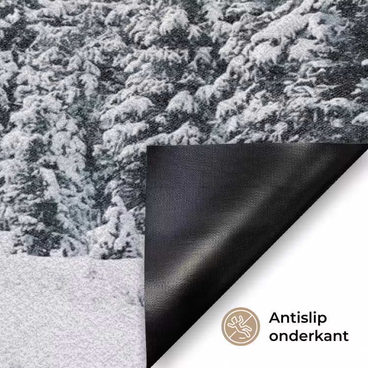 Deurmat - Weg - Sneeuw - Naaldbos - Winter - Avontuurlijk — 6