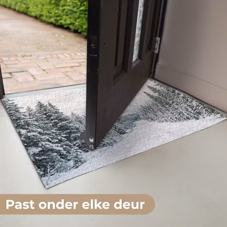 Deurmat - Weg - Sneeuw - Naaldbos - Winter - Avontuurlijk — 7