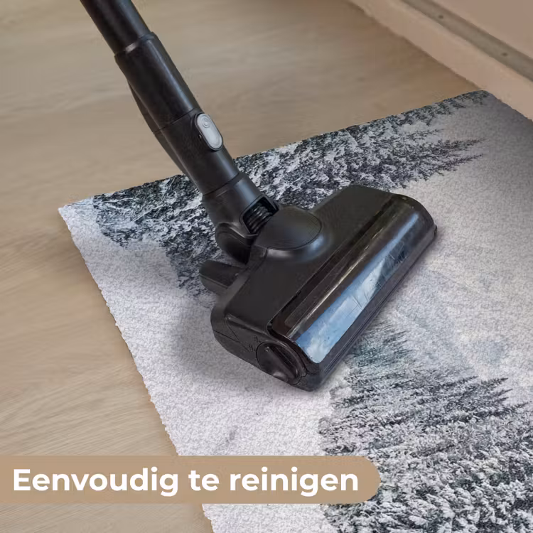Deurmat - Weg - Sneeuw - Naaldbos - Winter - Avontuurlijk — 9