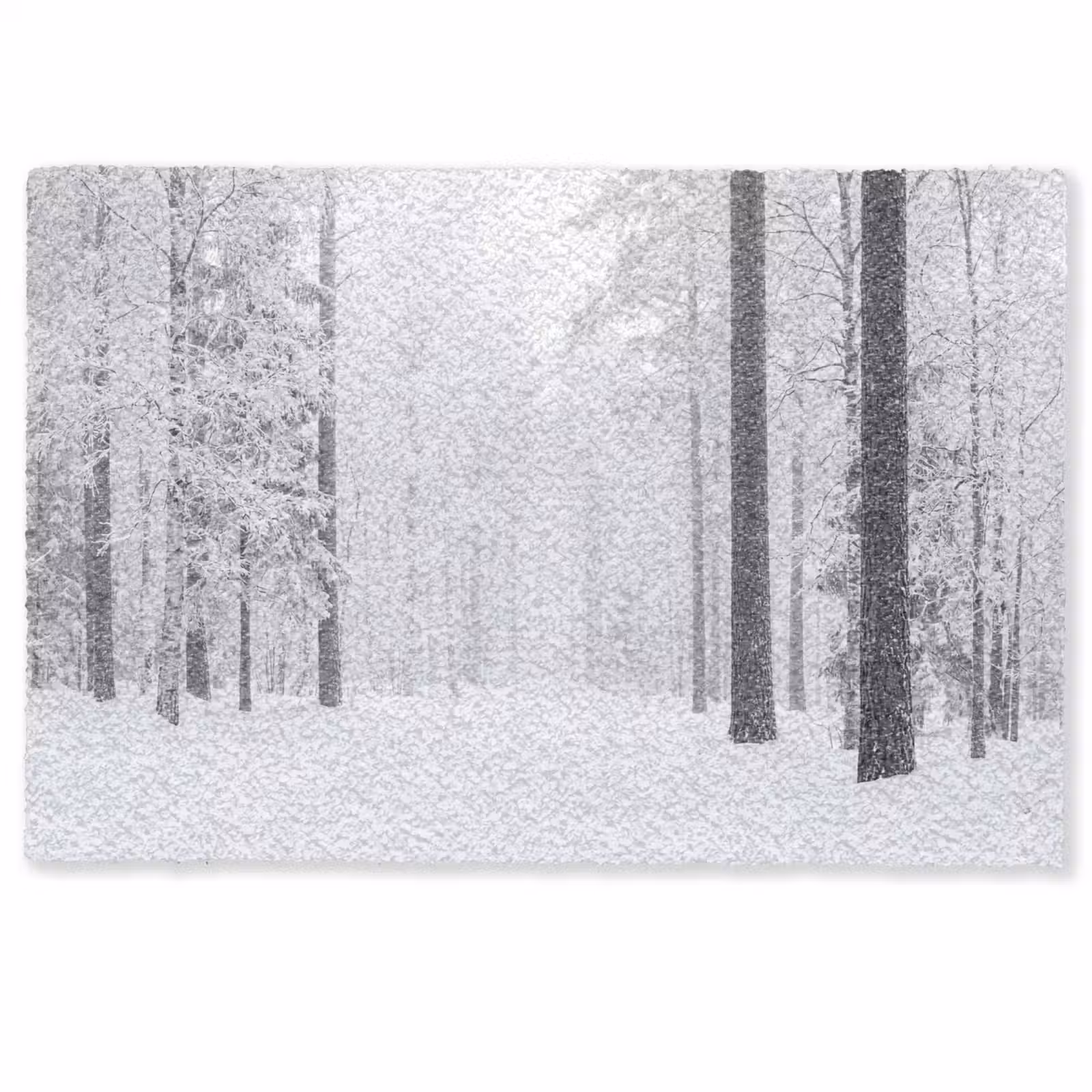 Deurmat - Bos - Sneeuw - Pad - Winter - Stilte — 1