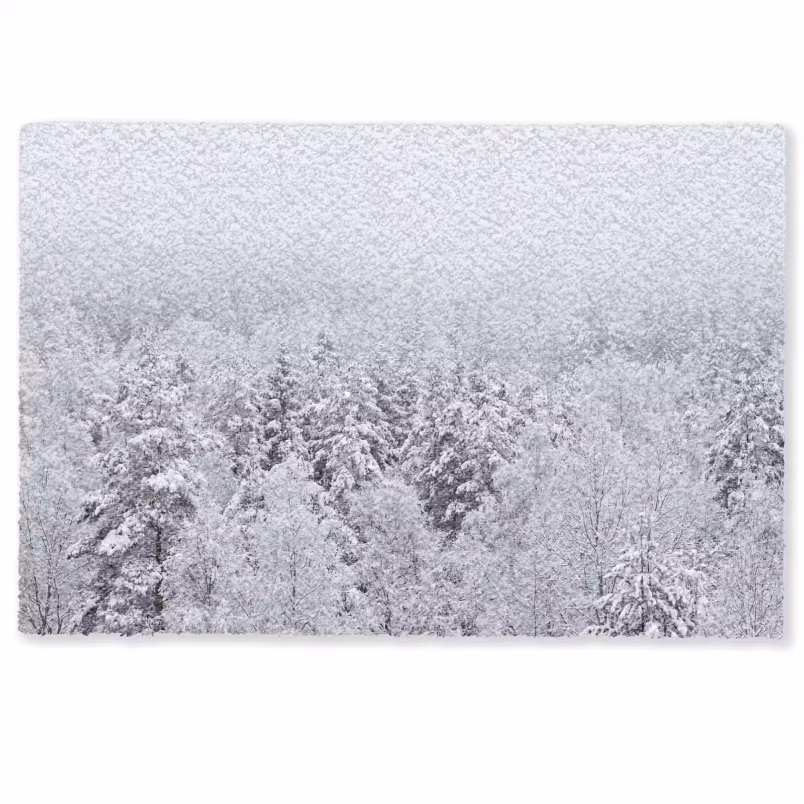 Deurmat - Bos - Sneeuw - Winter - Natuur - Wit — 1