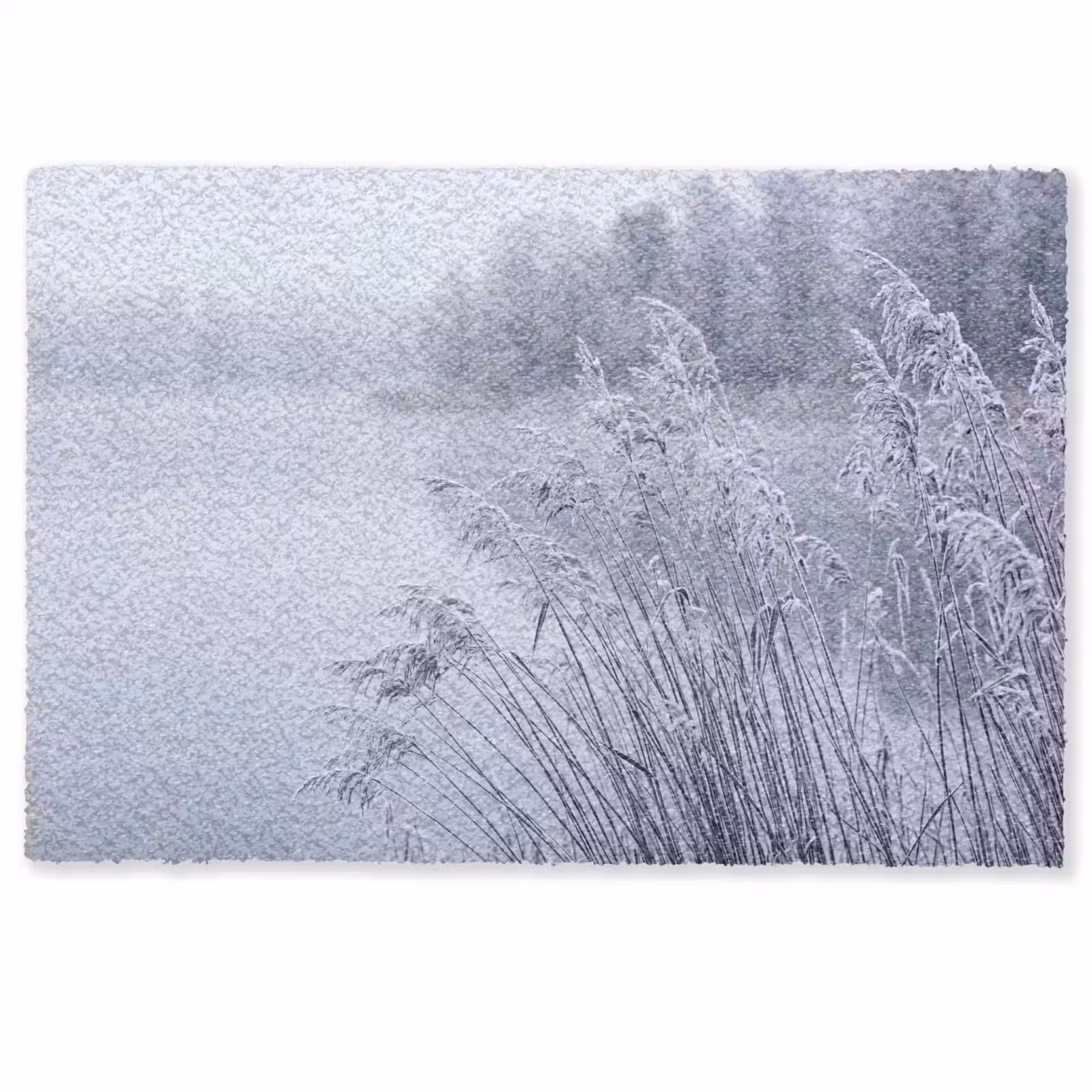 Deurmat - Riet - Bevroren - Winter - Natuur — 1