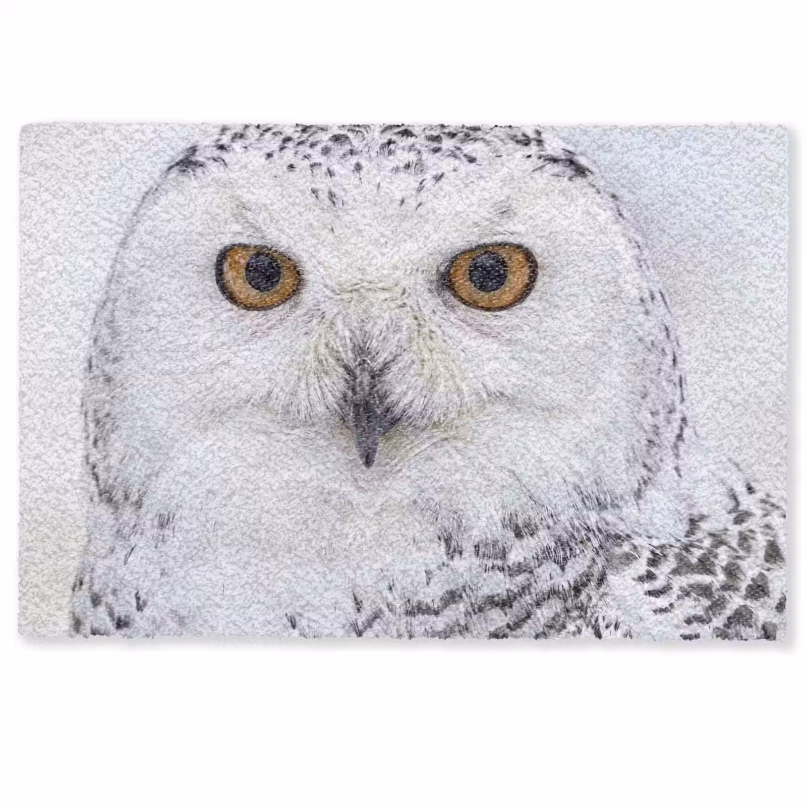 Deurmat - Sneeuwuil - Oog - Wildlife - Wit — 1