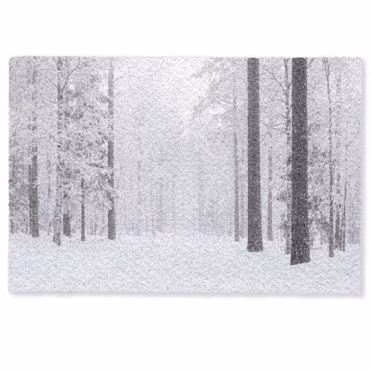 Deurmat - Bos - Sneeuw - Pad - Winter - Stilte — 1