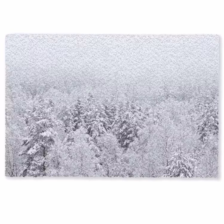 Deurmat - Bos - Sneeuw - Winter - Natuur - Wit — 1