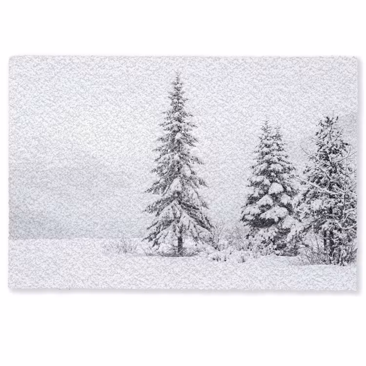 Deurmat - Fijnsparren - Sneeuw - Winter - Landschap - Stilte — 1