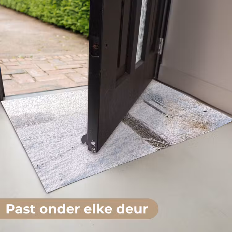 Deurmat - Hek - Sneeuw - Mist - Platteland - Nostalgisch — 7