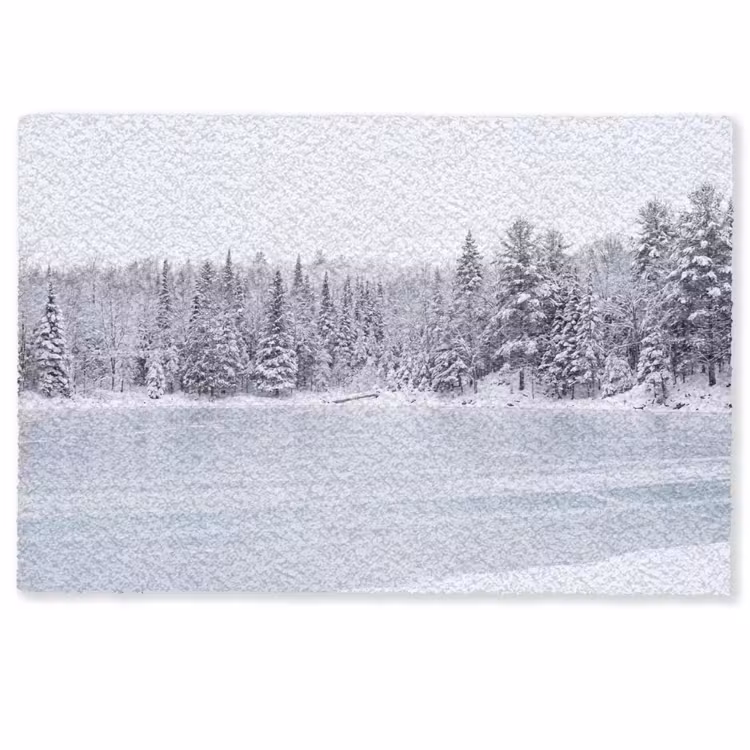 Deurmat - Meer - Dennen - IJs - Winter - Rustgevend — 1