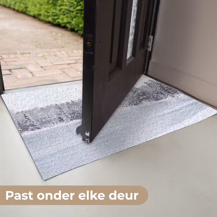 Deurmat - Meer - Dennen - IJs - Winter - Rustgevend — 7