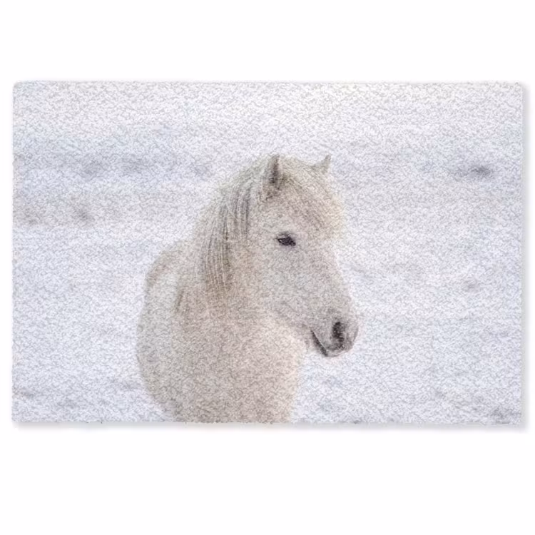 Deurmat - Paard - Kop - Winter - Dieren - Wit — 1