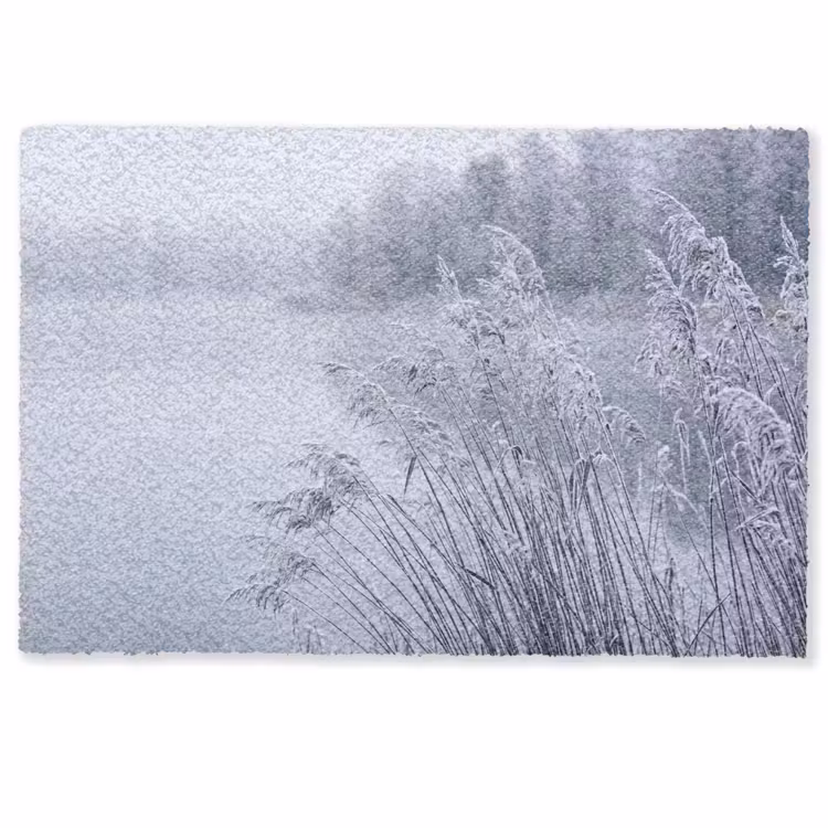 Deurmat - Riet - Bevroren - Winter - Natuur — 1