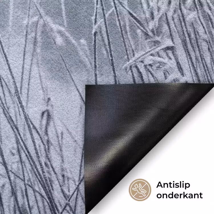 Deurmat - Riet - Bevroren - Winter - Natuur — 6