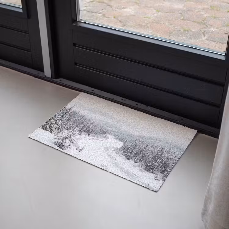 Deurmat - Rivier - Bevroren - Landschap - Winter — 2