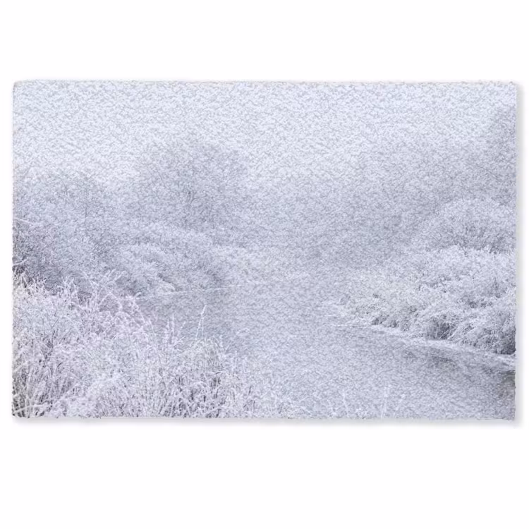 Deurmat - Rivier - Sneeuw - Bos - Winter - Schilderachtig — 1