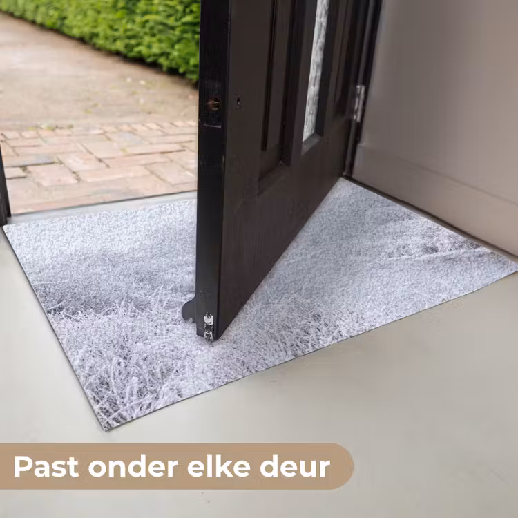 Deurmat - Rivier - Sneeuw - Bos - Winter - Schilderachtig — 7