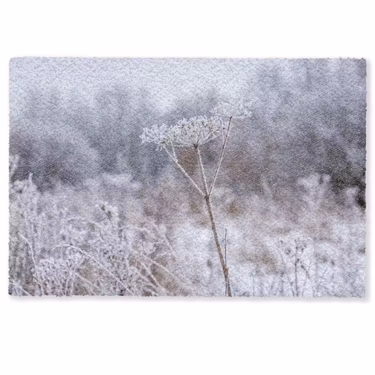 Deurmat - Schermbloem - Rijp - Kristallen - Winter - Delicaat — 1